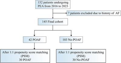 New-onset postoperative atrial fibrillation after pulmonary endarterectomy is associated with adverse outcomes